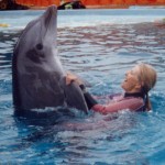 Dolphin Sound Therapy