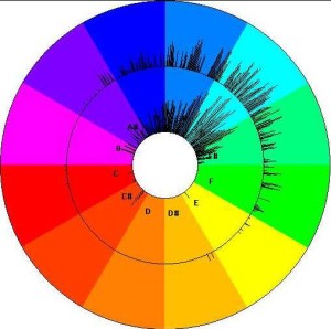 Voice Frequency Analysis